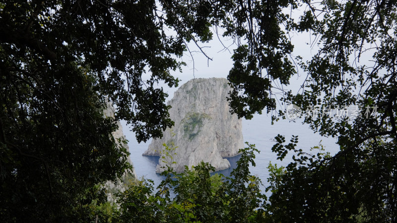 Faraglioni, Capri岛，意大利-在树林后面